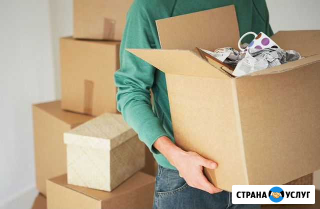 Газель/переезды/грузоперевозки Бор - изображение 1