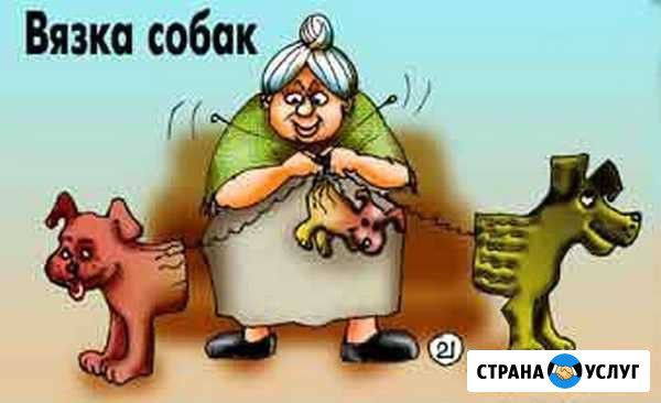 Инструктор по вязкам собак Красноярск - изображение 1