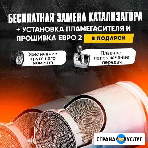 Удаление катализатора бесплатно Нижний Новгород - изображение 1