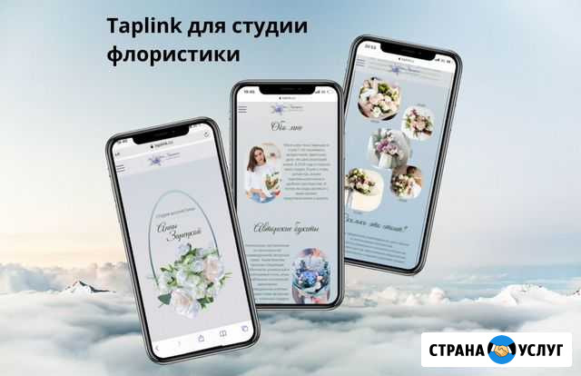 Заказать оформление таплинк Санкт-Петербург - изображение 1