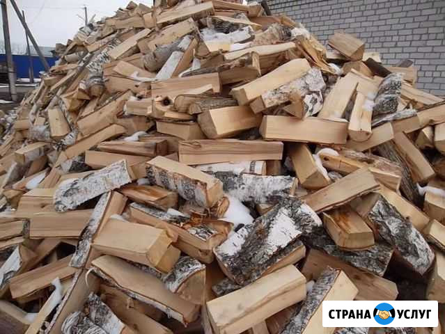 Дрова Сосновый Бор - изображение 1