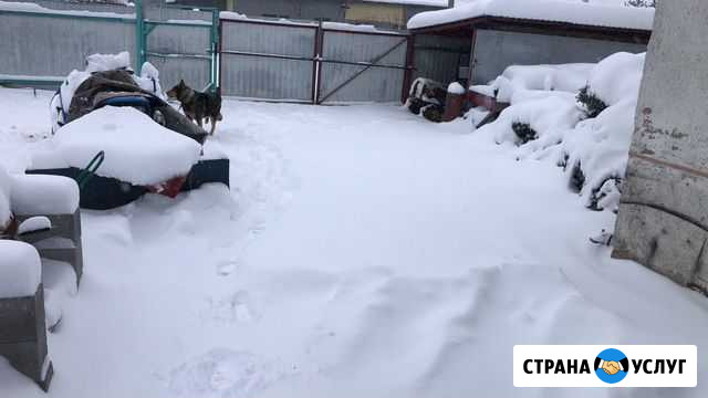 Уборка снега Хабаровск - изображение 1