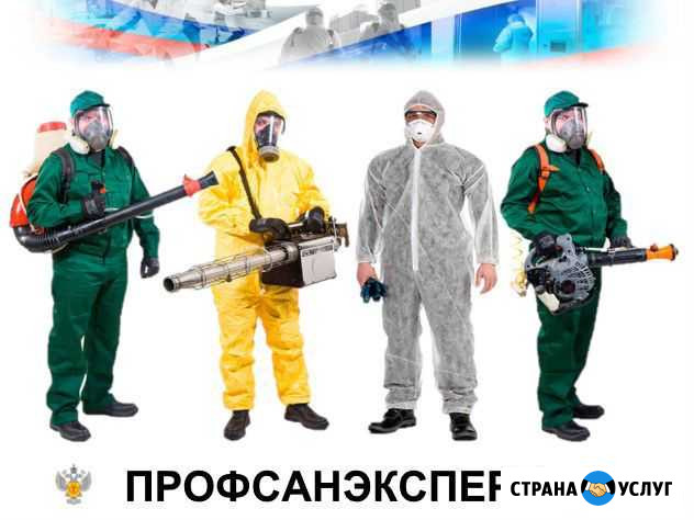 Дезинфекция клопов, тараканов, крыс, муравьев Саратов - изображение 1