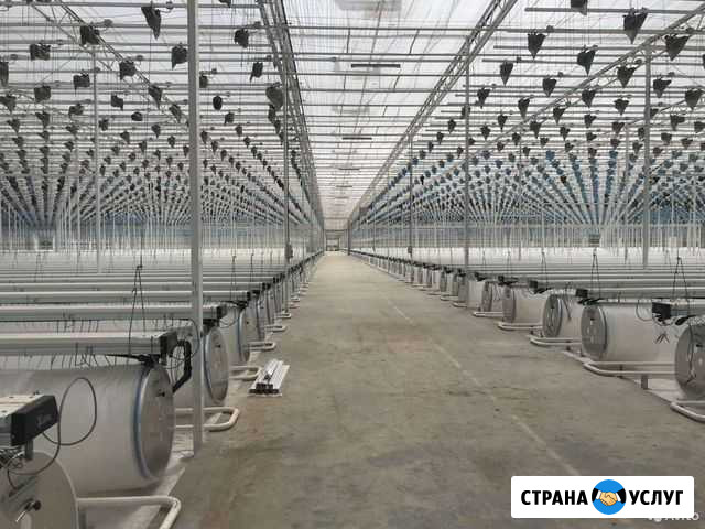 Устройство промышленных/топпинговых полов Ульяновск - изображение 1