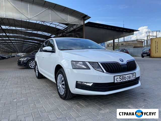 Аренда Skoda Octavia 1.6 AT 2018 Калининград - изображение 1
