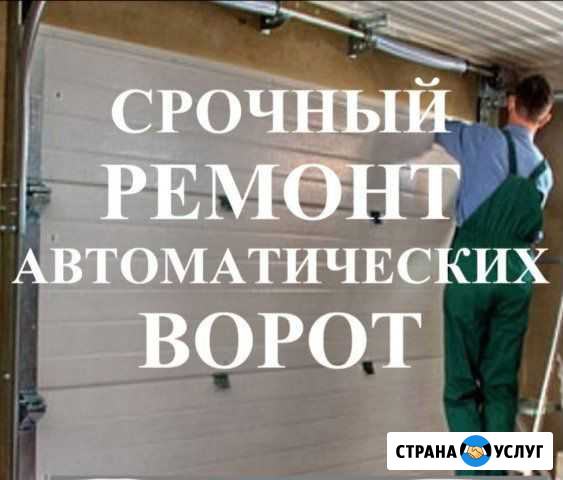 Ремонт ворот / Автоматики Подольск - изображение 1