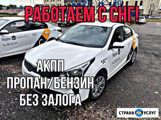 Аренда Kia Rio 2020 без залога Санкт-Петербург - изображение 1