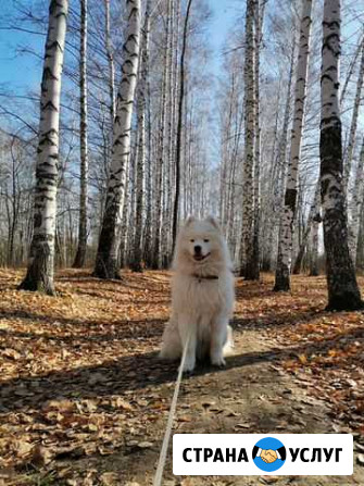 Фотосессия Энгельс - изображение 1