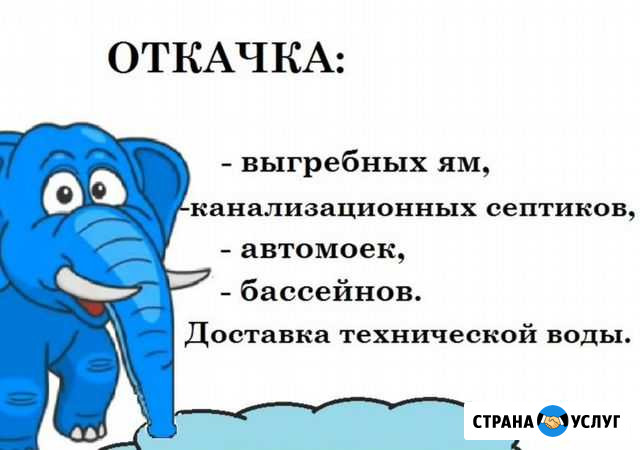 Откачка выгребных ям, септиков Кинель - изображение 1