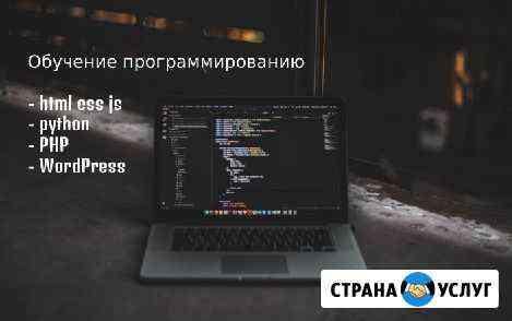 Репетитор по программированию html css python Ростов-на-Дону