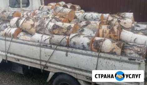 Продам дрова Ермаковское - изображение 1