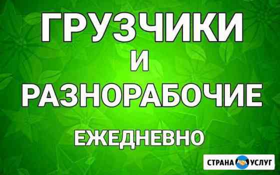 Услуги грузчиков Владимир