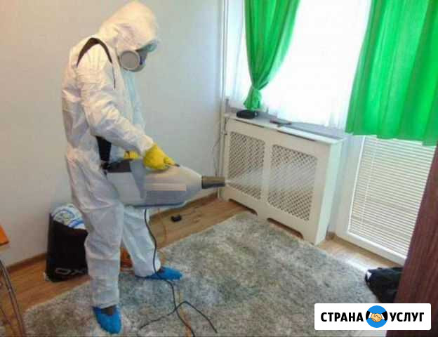 Уничтожение тараканов и клопов в Магнитогорске Магнитогорск - изображение 1