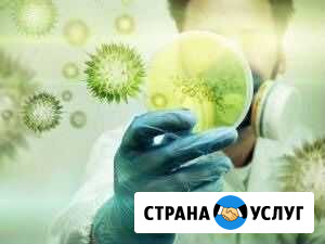 Уничтожение плесени и грибка Санкт-Петербург - изображение 1