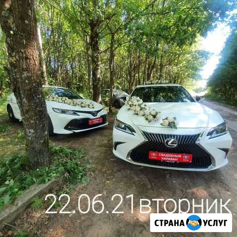 Свадебный кортеж в Костроме и аренда украшения Кострома - изображение 1