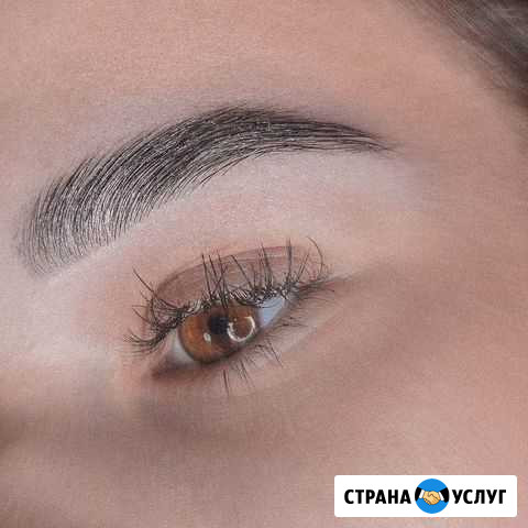 Окрашивание, долговременная укладка бровей Красноярск - изображение 1