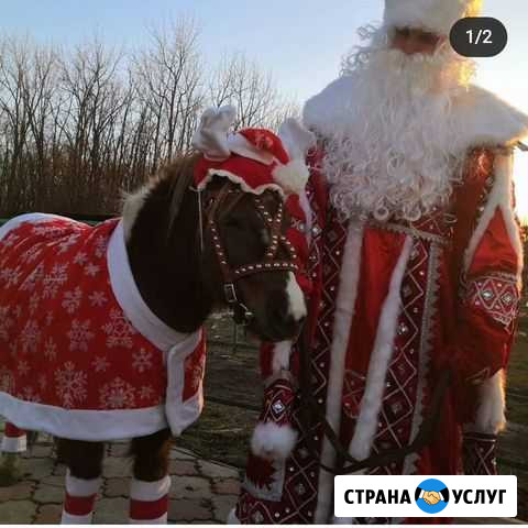 Поздравление Деда Мороза Армавир - изображение 1