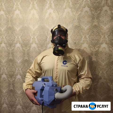 Уничтожение клопов, травить тараканов. Дезинфекция Санкт-Петербург - изображение 1