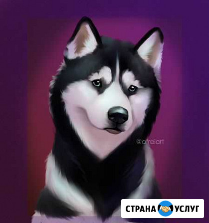 Портрет питомца по фото Москва - изображение 1