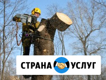 Подрезка, обрезка, спил деревьев Самара - изображение 4