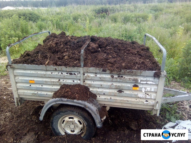 Навоз конский, навоз коровий Санкт-Петербург - изображение 1