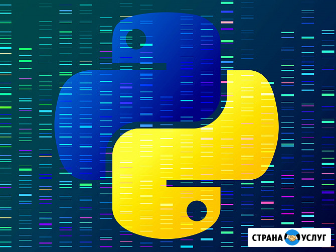 Курсы Python Москва - изображение 1