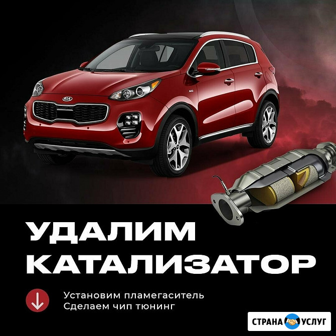 Удаление катализатора, чип, тюнинг Ярославль - изображение 1