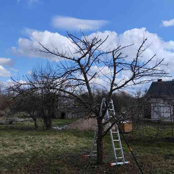 Садовник Калининград
