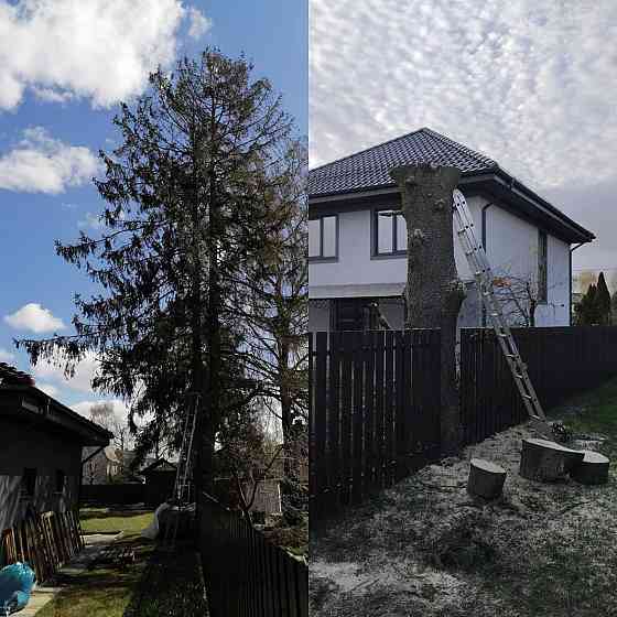 Спилить деревья Калининград