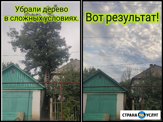 Спил деревьев, расчистка участка, измельчитель веток, покос травы Симферополь - изображение 2