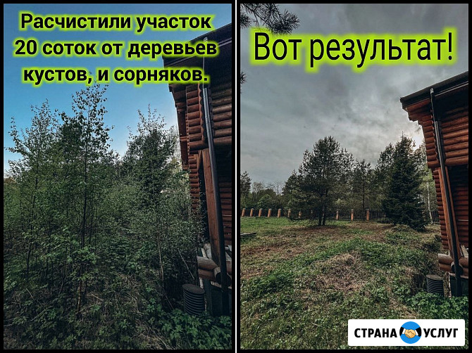 Спил деревьев, расчистка участка, измельчитель веток, покос травы Симферополь - изображение 3