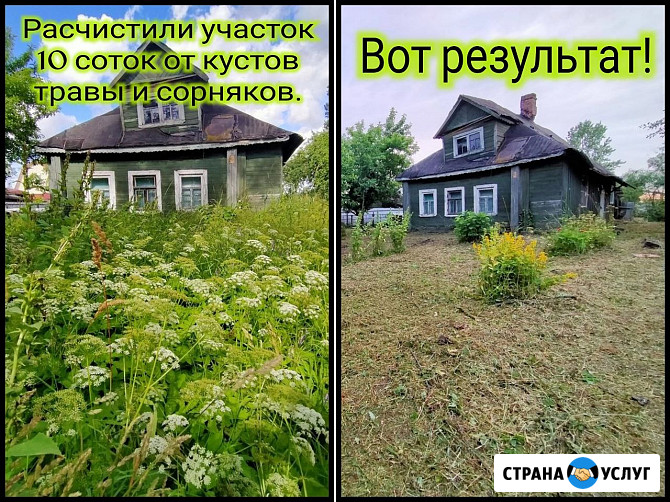 Спил деревьев, расчистка участка, измельчитель веток, покос травы Симферополь - изображение 4