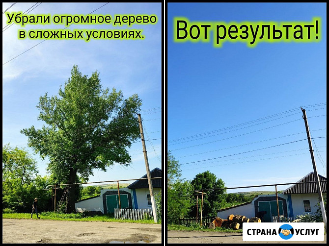 Спил деревьев, расчистка участка, измельчитель веток, покос травы Симферополь - изображение 5