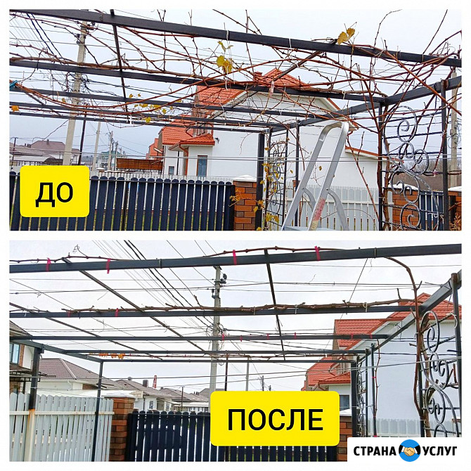 Профессиональная обрезка деревьев, кустарников и винограда Анапа - изображение 1