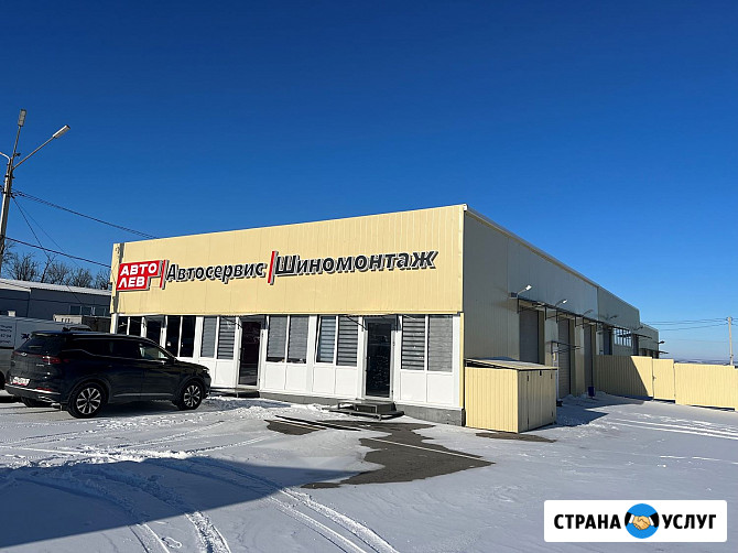 Автосервис АвтоЛев Новочеркасск - изображение 1