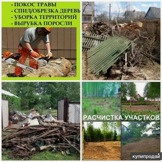 Расчистка участков, уборка, вывоз мусора, недорого Воронеж - изображение 1