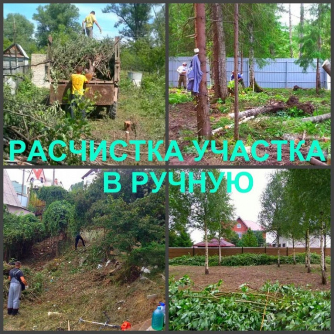 Расчистка участков, уборка, вывоз мусора, недорого Воронеж - изображение 2