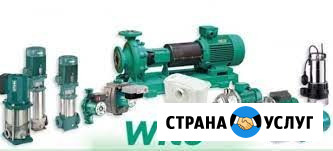 Насосы Grundfos, Wilo, Cnp, Ebara, Pedrollo, Espa, Джилекс, Hiflow, Dab Москва - изображение 4