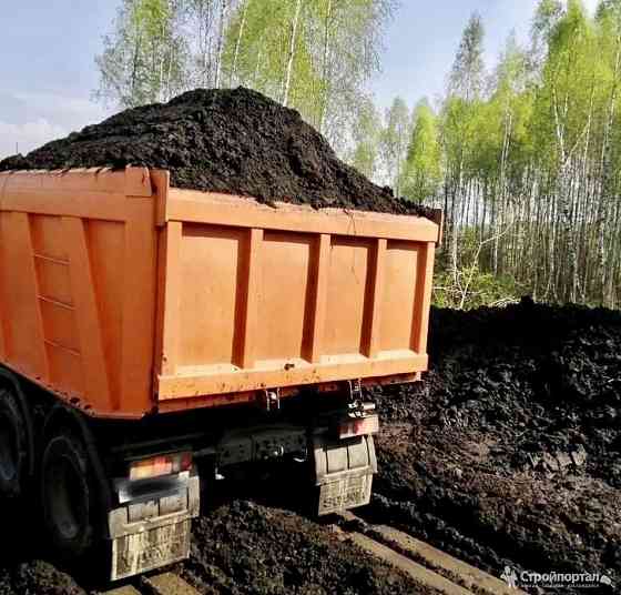 Чернозем Калининград