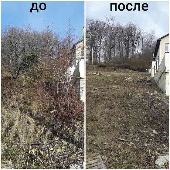 Деревья. Спил. Посадка Калининград