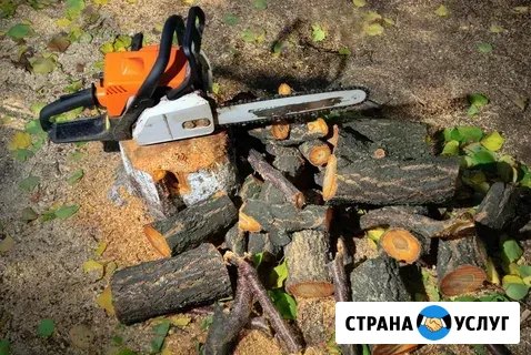 Спил и вывоз деревьев Новороссийск - изображение 2