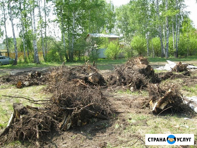 Удаление пней Краснодар - изображение 2