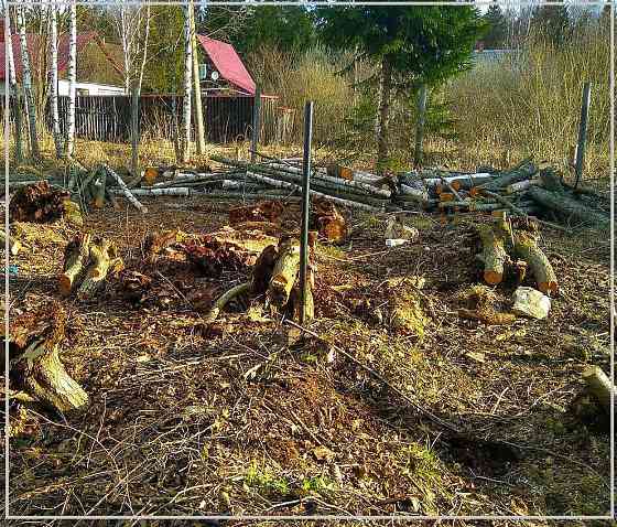 Расчистка участка от деревьев и растительности Краснодар