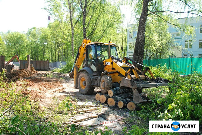 Расчистка участка от деревьев и кустарников Сочи - изображение 1