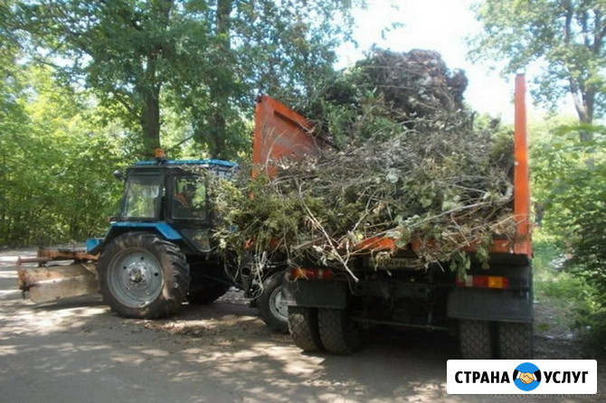 Расчистка участка Геленджик - изображение 2