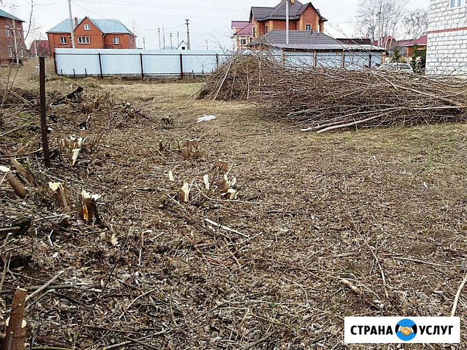 Расчистка участка Геленджик - изображение 3