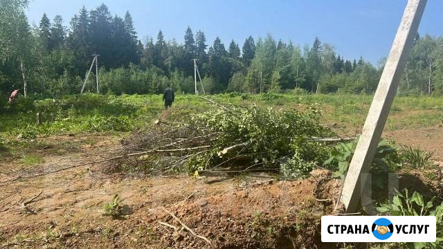 Расчистка участка Анапа - изображение 3