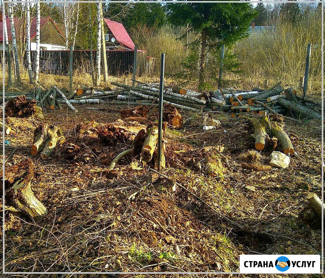 Сад, благоустройство. Расчистка участка Горячий Ключ - изображение 3