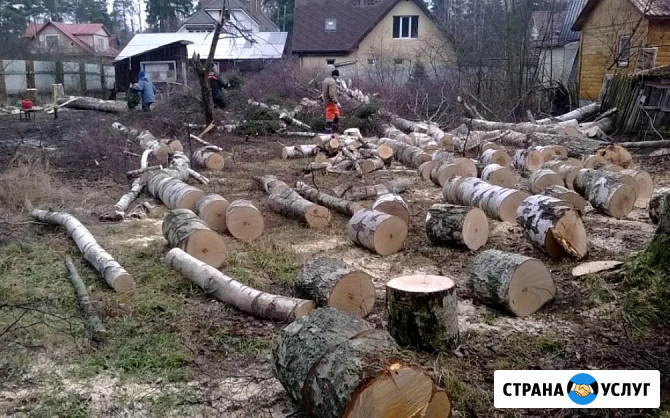 Спил деревьев Екатеринбург - изображение 1