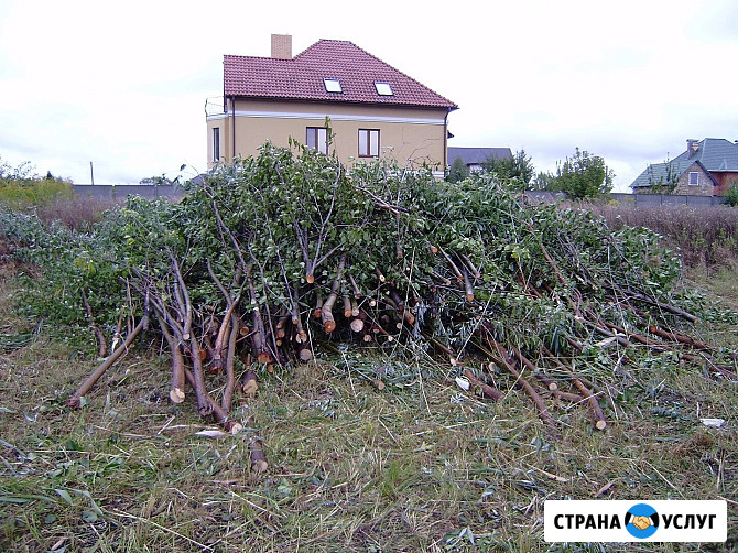 Спил деревьев. Расчистка участков от деревьев и кустарника, бурьяна. Вывоз мусора Барнаул - изображение 2